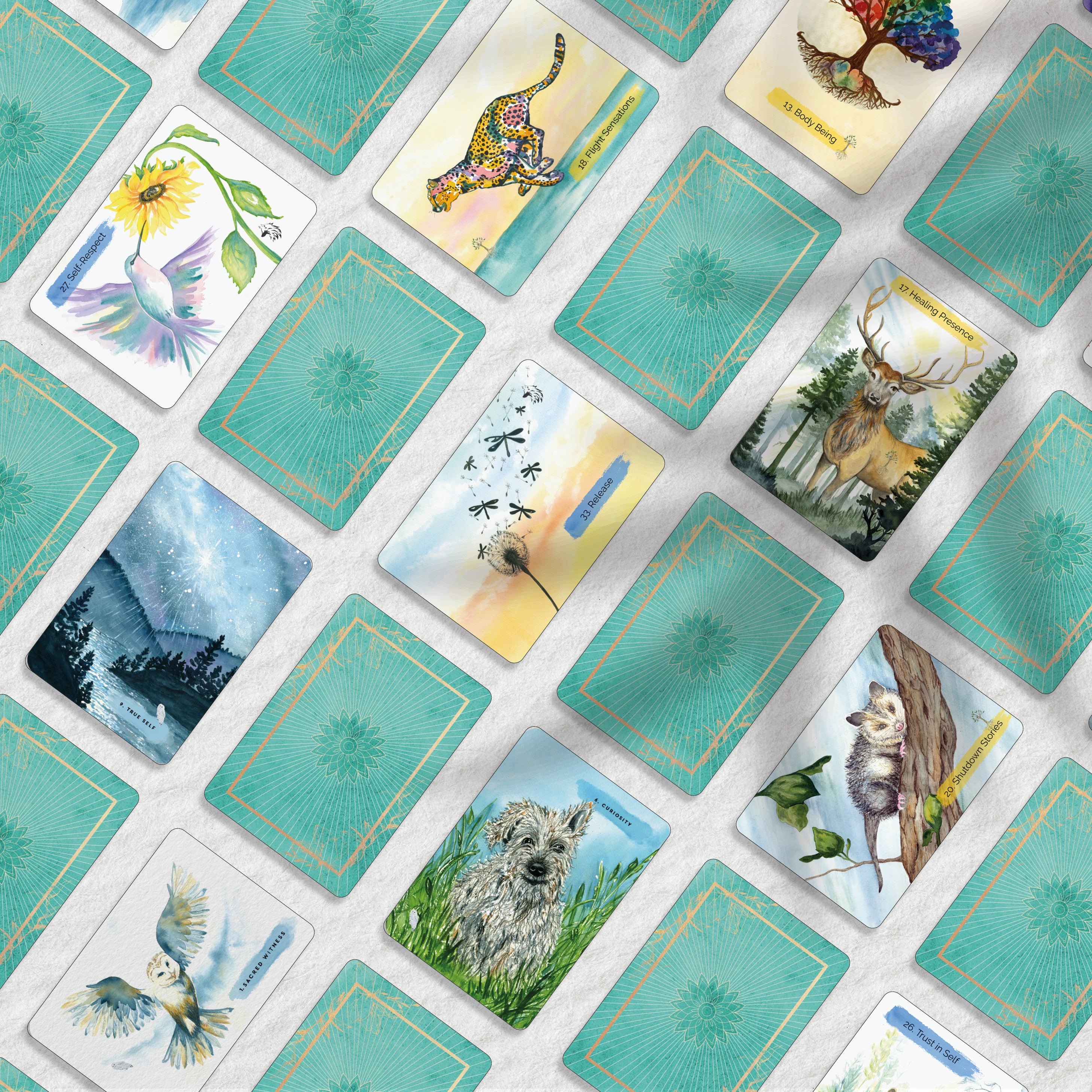 Deluxe Box Set: The Sacred Witness Oracle Guidebook and Deck